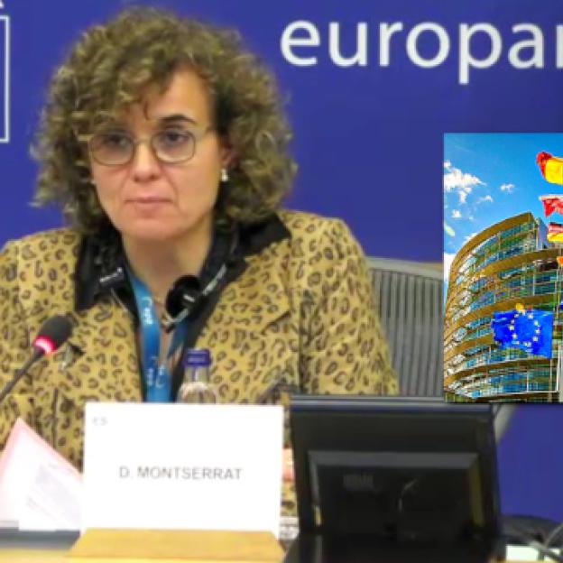 Under en tale i Europaparlamentet i Bruxelles i går sammenlignede chefredaktøren for Patriot24.net, Robert Rewiński, bortførelsen af børn fra polske forældre i Skandinavien med krigsforbrydelser!